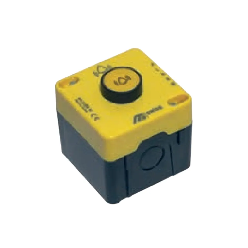 Box Mounted Button With Label In Hoist (1NO)(1Button)