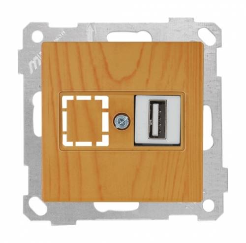 Data Socket 1*USB Socket (mech+plate) White