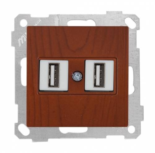 Data Socket 2*USB Socket (mech+plate) White