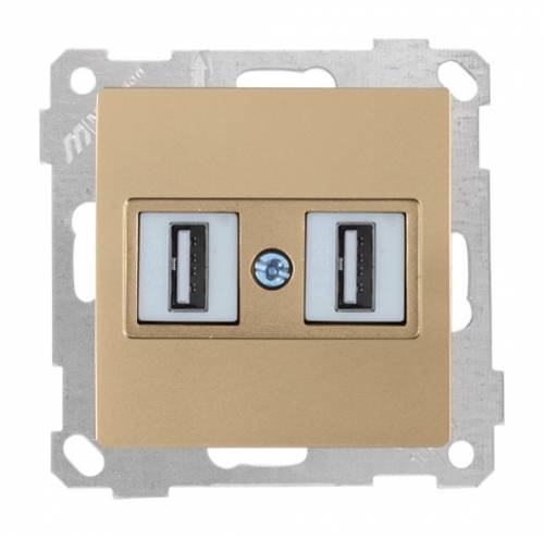 Data Socket 2*USB Socket (mech+plate) White