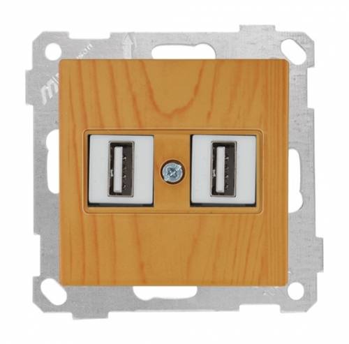 Data Socket 2*USB Socket (mech+plate) White