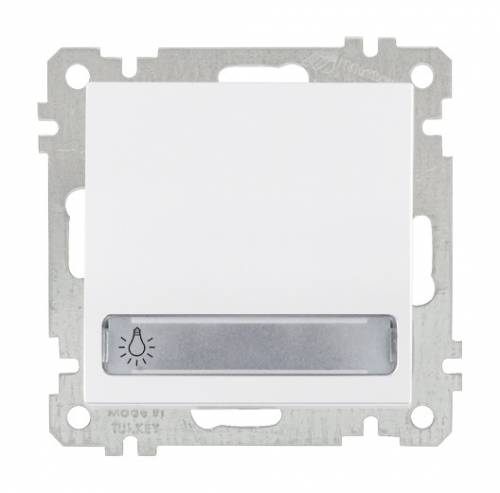 Illuminated 1 G 1 W Switch With Label (Push Plate) White with Screw