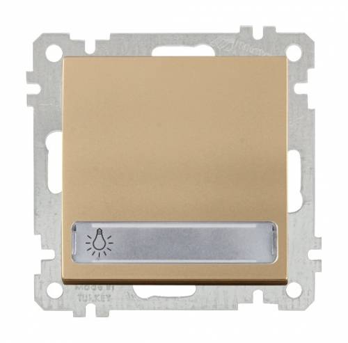 Illuminated 1 G 1 W Switch With Label (Push Plate) White with Screw