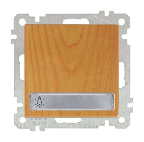 Illuminated 1 G 1 W Switch With Label (Push Plate) White with Screw