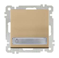 Illuminated 1 G 1 W Switch With Label (Push Plate) White with Screw - Thumbnail