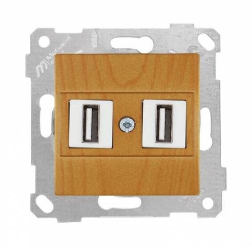 Rita Mechanism+Plate Data Socekt 2*USB White